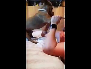 Does Dog Sex Hurt? Ethical Dilemmas Explored