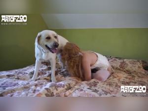 A woman submits to her dog for a night of pleasure