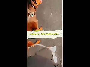 Dog Knot Compilation Exposed