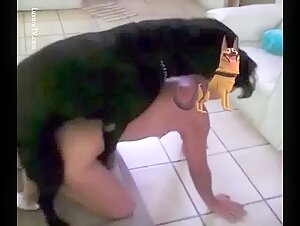 beastiality with dog