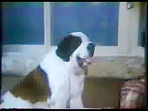 canine depravities full movie 1986