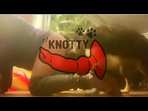 The Lesbian Slut Loves Doggy Style with Passion and Pleasure
