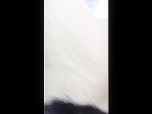 Ethical Boundaries & Artistic Limits