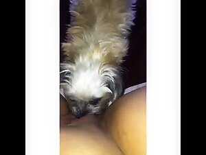Girls Sucking Dog Cock: Intense Sensations