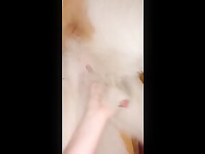 animal porno zoofiles