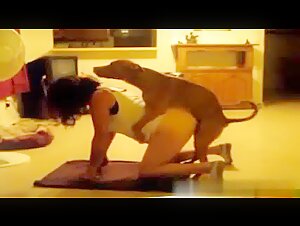 bestiality tube animal