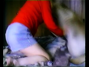Alternative Canine Reality