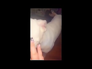 explore the taboo: dog & woman
