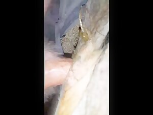 videos zoofilia artofzoo