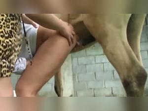 Watch the Asian woman service our doggy, a very excited dog fuck slave