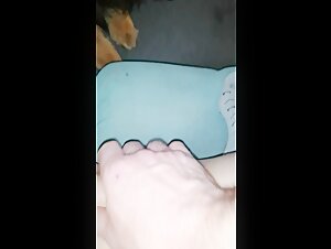 canine intimacy