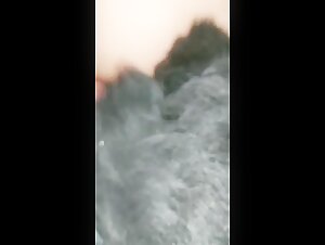 shocking bestiality video