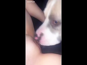 Explicit Content: Pushing Boundaries