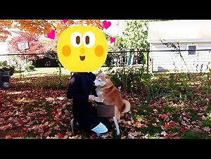Videos Pornographic Zoological with Women: Dogs and Cats Sex, sexy women bestiality