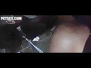 Zoo Filia: Canine Intimacy