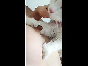 Female Pleasure & Animal Connections