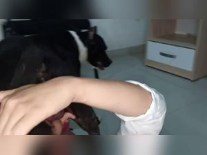 Marie is searching for an animal happiness