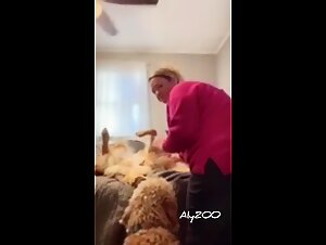 Animal Porn with Women and Dogs