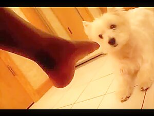 woman fucks dog zoo