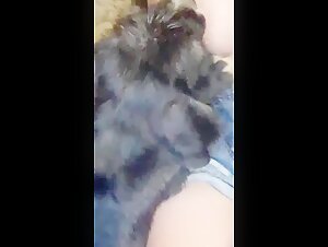 beastsextaboo homemade beastiality