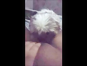 animal porn: dog cum