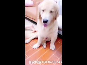 Teen & Dog: OnlyFans Beast Scandal Explored