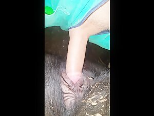 beastly zoo interaction