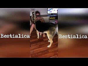 Dog fucking sex: XXX Video Pornzoofinder