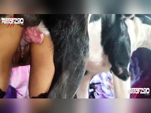 Zoo Pornic Parkplan: Canine Cum Slut Sex, Dog fucked by Pussy, Zoo Porng Zoofilia Video Collection