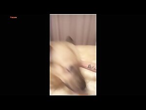 Sonya gives a passionate oral sex with her dog while her partner gets ready to leave for vacation