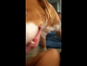 Dog fucked by Slut in Extreme Sex Video