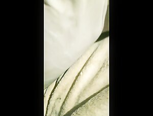 zoohamster and dog blow job