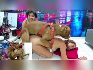 Doggy Style with a Dog, Sexy Woman! XXX Animal Sex and Hardcore Zoo