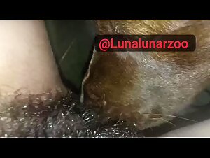 Raw Beastiality: Uncensored Reality
