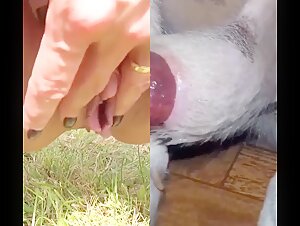 girl fucks dog beast
