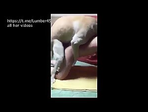 Best animal porno videos featuring dog fuck and sluts