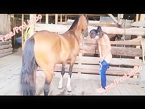 free beastiality videos