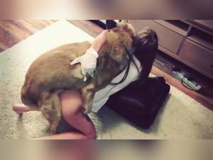 Discover the Different Types of Dog for Animated Sex
