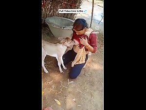 Bestiality Nuances: Dog, Girl Scenarios