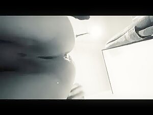 an animal exchange of desire