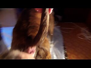 A Savage Bestiality Sex Union Between Two Russian Lovers and Their Dog