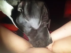A dog owner's dog lover screwed in a passionate and intense scenario