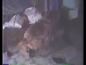 The Steamy Relationship between Gaby and Her Dog Canelo on Zoofilia TV