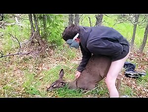 dog cums, gay bestiality unveiled