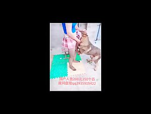 Top Animal Sex Videos for Dogsex Lovers