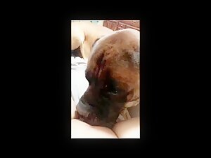dog fucks wife
