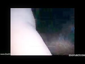 intimate moments: beastiality