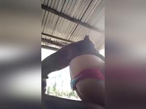 Extreme Zooophilia Porn - Watch Cat Feces and Dog Videos