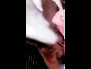 Intense Passion