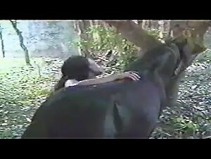 animal fucking, desires unveiled